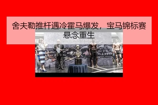 she-fu-lei-tui-gan-yu-leng-huo-ma-bao-fa-bao-ma-jin-biao-sai-xuan-nian-chong-sheng-3-478.jpg