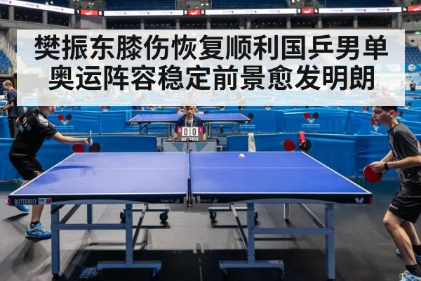 樊振东膝伤恢复顺利国乒男单奥运阵容稳定前景愈发明朗