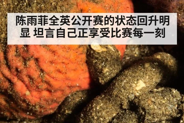 陈雨菲全英公开赛的状态回升明显 坦言自己正享受比赛每一刻