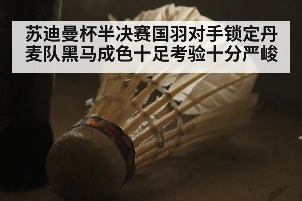 苏迪曼杯半决赛国羽对手锁定丹麦队黑马成色十足考验十分严峻